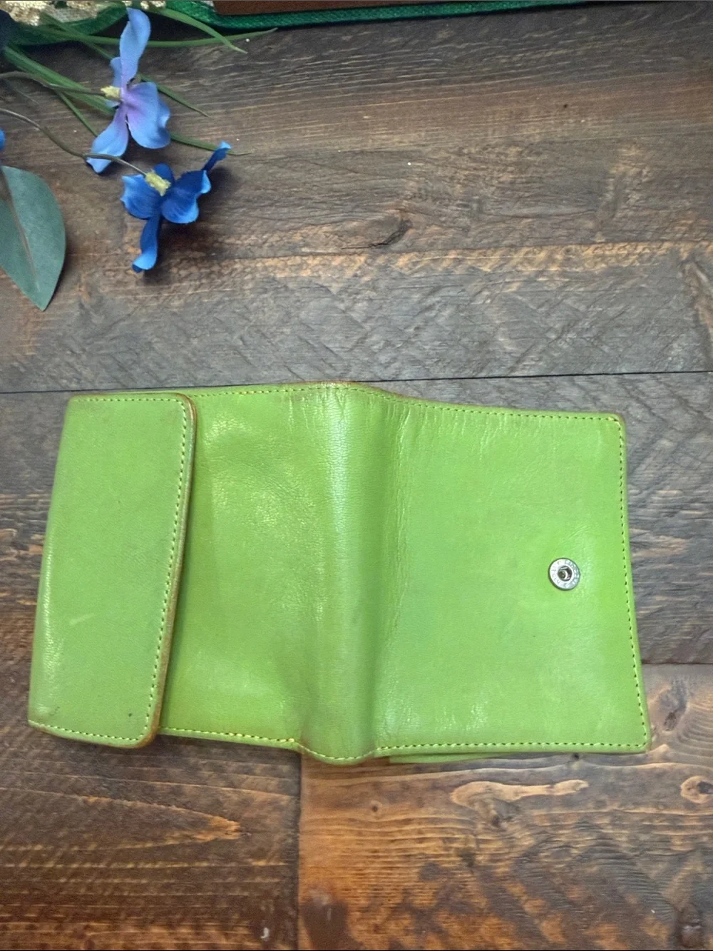 Tusk gorgeous authentic